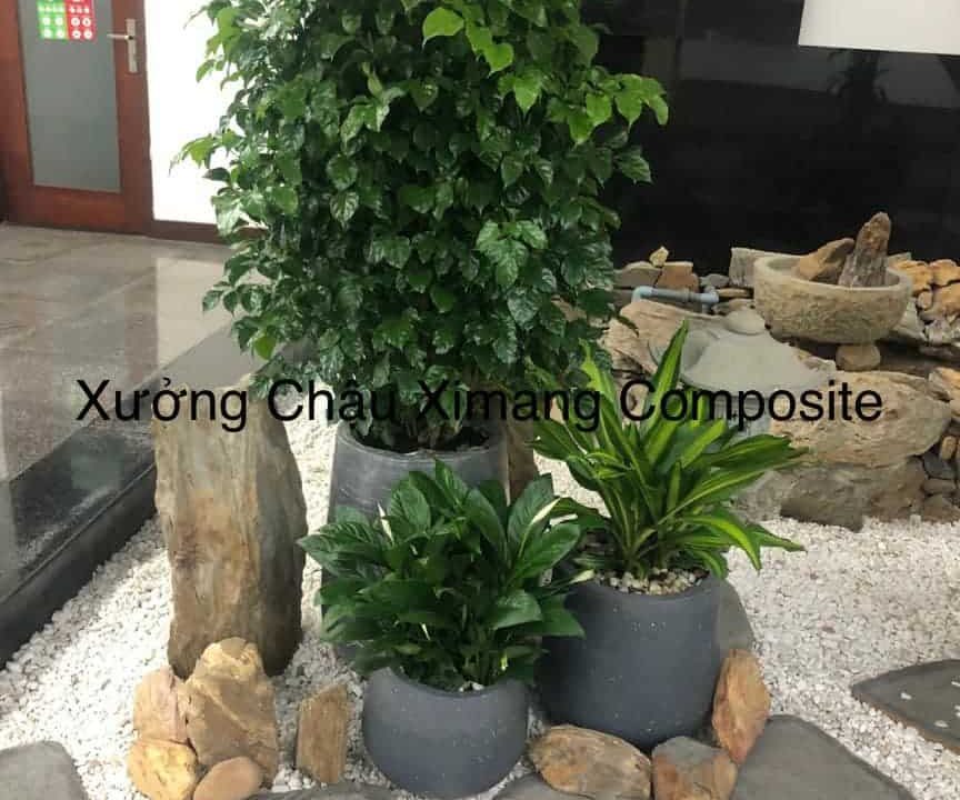 chậu xi măng sỉ và lẻ Đà Nẵng