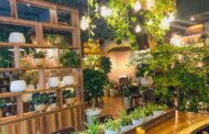 Top 10 cửa hàng cafe sách Hà Nội không gian cực yên tĩnh